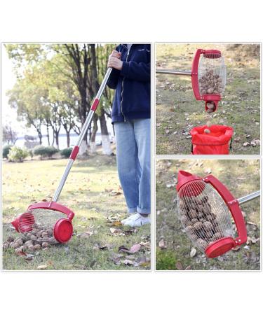 Buy Linsition Nuss Collector - Adjustable Nut Collector for Walnuts Small Fruits & Rubber Balls | International Shipping Available - Buy Online on GoSupps.com