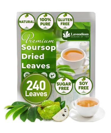 Lavendium 240+ Premium Soursop Graviola Dried Leaves 240-260 Natural Leaves Whole Soursop Leaves Wildcrafted Graviola Soursop Hoja Guanabana Soursop Loose Leaf Herbal Tea No Gluten Vegan Soursop Leaves 240 Bags