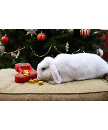 Cupid & Comet Rosewood Cupid & Comet Christmas Puzzle Stocking Gnaw Treat for Small Animals - Buy Online on GoSupps.com