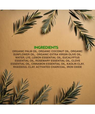 Citrus Spice Bar Soap - Activated Charcoal Organic Essentials Vegan Handmade in USA - Moisturizing & Non-GMO Ideal for All Skin Types - 5 oz - Buy Online on GoSupps.com