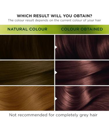 Garnier Nutrisse Ultra Color 5.25 Frosted Chestnut Brown Hair Dye - Intense Colour for All Hair Types - Buy Online on GoSupps.com