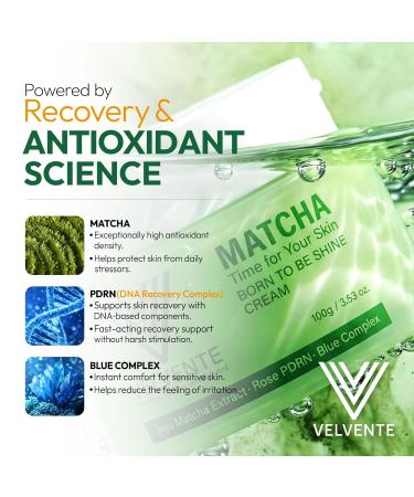 VELVENTE Matcha Hydrating Facial Moisturizer Rose PDRN All-in-One Skin Face Cream for Redness Dark Spot Acne-Prone Skin Brightening Anti-Aging Barrier Support Cream Korean Skincare 3.53 oz - Buy Online on GoSupps.com