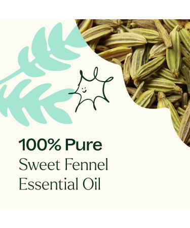 Buy Plant Therapy Sweet Fennel Essential Oil 10 mL - 100% Pure Undiluted Therapeutic Grade | International Shipping Available - Buy Online on GoSupps.com