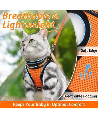 Rabbitgoo Cat Dishes & Cat Linen Set - Adjustable Soft Leash with Reflective Stripes for Cats & Kittens - Bright Orange (1 Pack) - Buy Online on GoSupps.com