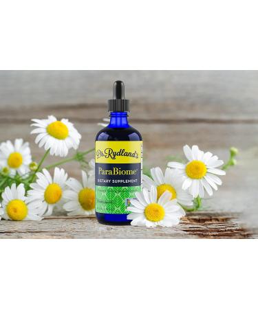 Dr. Rydland's Herbal Supplement | Created by KidsWellness Effective on Adults & Children | ParaBiome Advanced Cleanse and Digestive Support | Made with Black Walnut Clove Wormwood | 4 Ounce Bottle - Buy Online on GoSupps.com