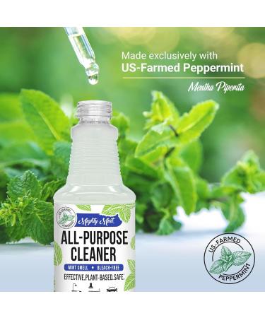 Mighty Mint All-Purpose Cleaner - Non-Toxic Natural Peppermint Spray for Home & Kitchen | 16oz - Buy Online on GoSupps.com