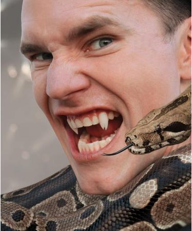 Scarecrow Viper Split Deluxe Custom 18mm Fangs - Premium Quality for Ultimate Realism | International Shipping Available - Buy Online on GoSupps.com