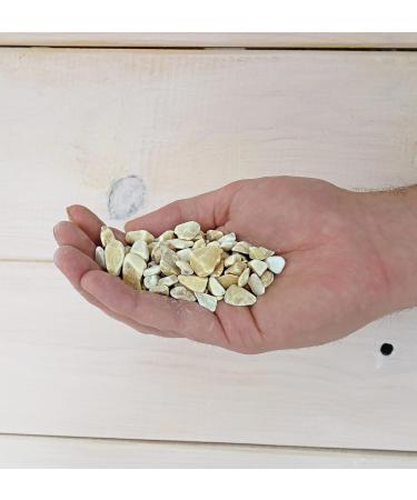 Landare Yellow Pebble Stones 1.8kg | Decorative Gravel for Vases & Gardens (8-12mm) - Buy Online on GoSupps.com