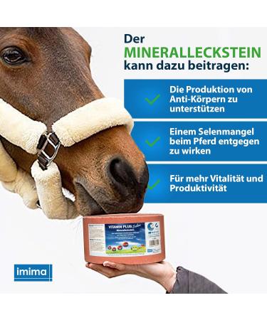 imima Mineral Lick Horse VITAMIN PLUS Selenium Salt Lick Set 4 x 3 kg - Salt Lick Stones for Horses Sheep Goats Game and Cattle - Mineral Stone for Licking Salt - Buy Online on GoSupps.com