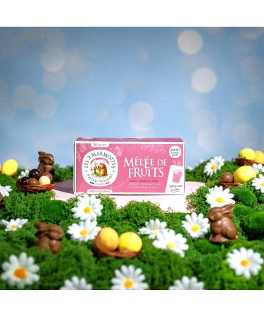  LES 2 MARMOTTES Les 2 Marmottes - Mixed Fruit Infusion - Buy Online on GoSupps.com