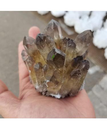 for Natural Smokey Quartz Tea Crystal Cluster Stones Crystal Point Specimen Home Decoration Raw Crystals Gemstones and Crystal dingchi FUZEGRDLI (Size : 300-400g) - Buy Online on GoSupps.com