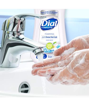 Dial Complete Antibacterial Foaming Hand Wash Refill, Soothing White Tea - 32 fl oz - Buy Online on GoSupps.com