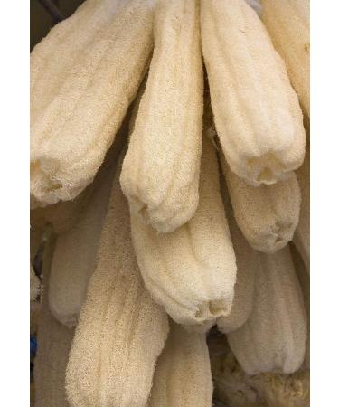 4 Pack Exfoliating Natural Loofah Bath Body Shower Sponge Scrubber - Premium Quality Luffa for Men and Women - Buy Online on GoSupps.com