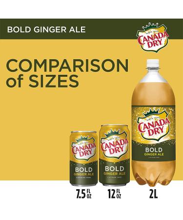 Canada Dry Bold Ginger Ale Mini Cans 7.5 fl oz - 6 Pack - Buy Online on GoSupps.com