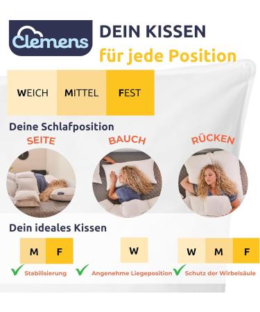 Clemens Daunkissen 2 Set 40x80 cm - Medium-Proof Down Pillows | 85% European Feathers | Ideal for Back & Side Sleepers | Made in Germany - Buy Online on GoSupps.com