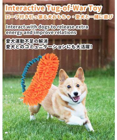 Schitec Interactive Dog Toys - Squeaky Dashy Training Rope for Puppies & Dogs | Durable Chenille & Curved Handle - Buy Online on GoSupps.com