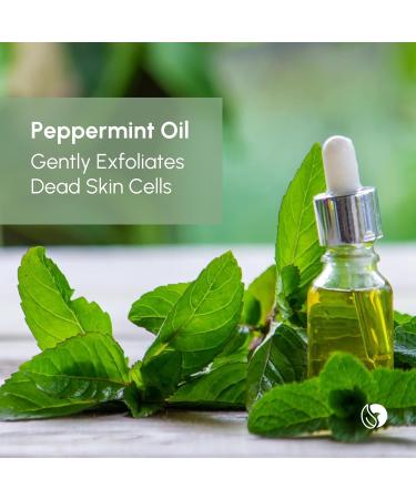Refreshing Cooling Effect Anti-Acne Mint & Tea Tree Body Wash - 200ml | International Shipping Available - Buy Online on GoSupps.com