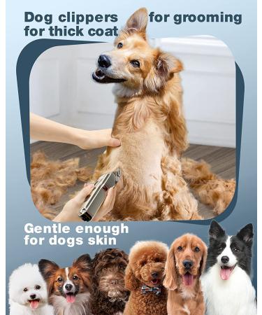 oneisall Dog Clippers for Thick Heavy Coats - Rechargeable Cordless Pet Shaver with Stainless Steel Blade - Low Noise, Waterproof Grooming Tool for Dogs, Pets, and Animals - Silver - Buy Online on GoSupps.com
