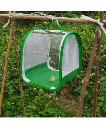 Syfunlv Butterfly Mesh Net Cage Butterfly Mesh Net Cage Portable Caterpillar Butterfly Habitat Large Portable Insect Monarch Butterfly Mesh Net Cage Insect and Butterfly Habitat Cage - Buy Online on GoSupps.com