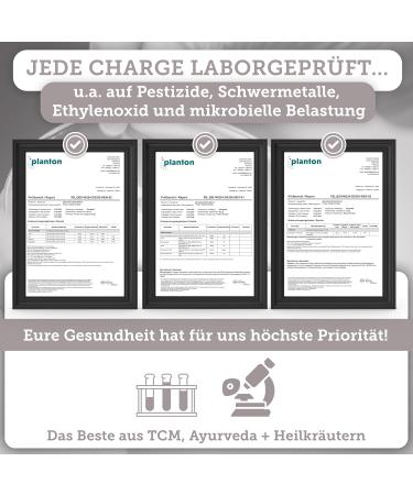 Qidosha Reishi Extract Capsules - 500mg 15:1 Premium Ganoderma Lucidum Vegan 180 Count - Top Test Winner 07/23 - Buy Online on GoSupps.com