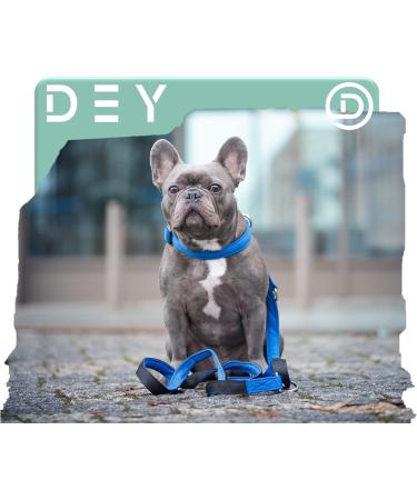 Dey Premium Dog Leash - 2m Air Mesh 3-Way Adjustable for All Dog Sizes Multiple Colors Ideal for Puppies & Cats - Blue XS/S - Buy Online on GoSupps.com