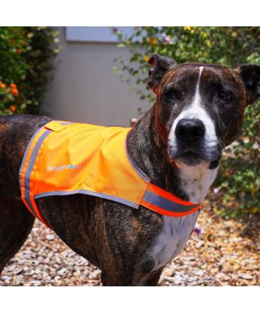 SafetyPUP XD Lite Dog Vest - Reflective Blaze Orange, Medium Size - Buy Online on GoSupps.com