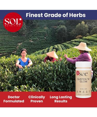 Sol Nutrition Glisten N Glow Supplement: Skin Vitamins for Women Biotin, Collagen & Skin-Loving Vitamins A, B, C, E for Clear Complexion & Youthful Glow, 60 Easy to Swallow Capsules - Buy Online on GoSupps.com