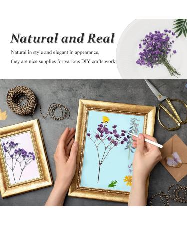 Pressed Dried Gypsophila Flowers 42PCS - Purple Babysbreath Flowers for DIY Crafts - Buy Online on GoSupps.com