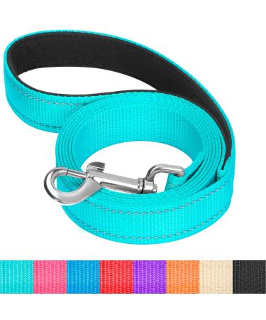 matilor Reflective Dog Leash with Padded Handle, Nylon Dog Leashes for Large Medium Small Dogs Large (Pack of 1) Turquoise