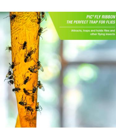 Fly Ribbons Fruit Fly Traps - Indoor/Outdoor Bug Trap for Winged Insects - Pack of 10 - Buy Online on GoSupps.com