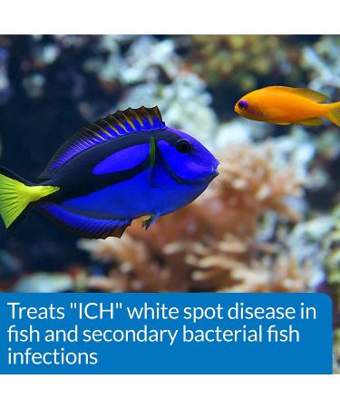 API SUPER ICK CURE Fish Remedy 4-Ounce Liquid | Treats Ich White Spot Disease - Fast Relief - Buy Online on GoSupps.com