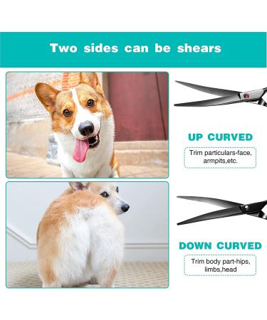 Intini 7.5 Curved Dog Grooming Scissors | Professional Pet Grooming Shears with Safe Round Tips | Dematting Tool for Thick-Haired Dogs | Light Weight Shears for Right and Left Hands - Buy Online on GoSupps.com