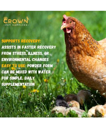 Crown Pet Supplies Poultry Multivitamin Powder with Vitamin B & C Helps Maintain Energy Supports Healthy Growth Appetite Feather Quality Bone Strength & Overall Well-Being 100 Grams - Buy Online on GoSupps.com