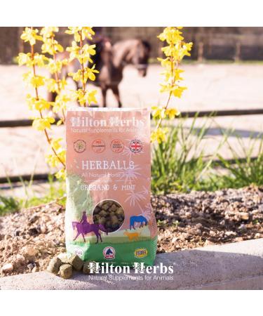 Hilton Herbs Herballs 100% Natural Horse Treats No Added Sugar Molasses-Free Horse Treats Healthy Horse Treats. 2 kg Garlic Mint Oregano Rosemary Alfalfa Linseed Wheat. 2 kg (Pack of 1) - Buy Online on GoSupps.com