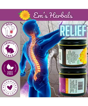 Em's Herbals, Joint & Muscle Care Salve - Amplified Arnica Salve Made with Menthol Crystals, and Effective Essential Oils to Penetrate Deep into Muscles, Joints, and Back Discomfort (2 oz) 2 Ounce (Pack of 1) - Buy Online on GoSupps.com