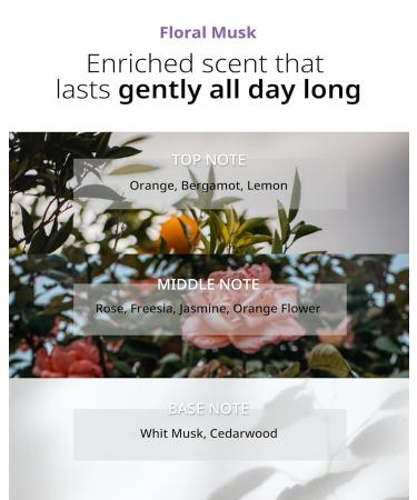 Star Shine Hair Essence - Nourishing Frizz Control Serum for Damaged Hair | Argan Oil & Nature Derived Oils | Smooth Ends & Add Shine - 3.38 fl. oz - Buy Online on GoSupps.com