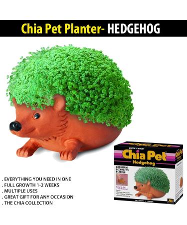 Chia Pet Planter- Hedgehog - Buy Online on GoSupps.com
