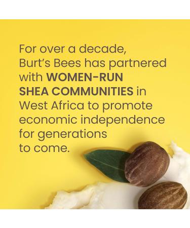 Burt's Bees Shea + Tropical Fruit Indulgent Hand and Body Butter - 11 Oz. - Buy Online on GoSupps.com