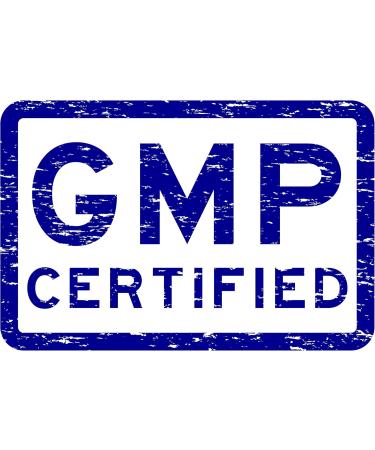 Best Earth Naturals Mushroom Gummy Vitamins Supplement for Energy & Clarity - Immune Support Gummies w/Lion's Mane Reishi Cordyceps & More - 30 Gummies (30-Day Supply) Mushroom Gummies - Buy Online on GoSupps.com