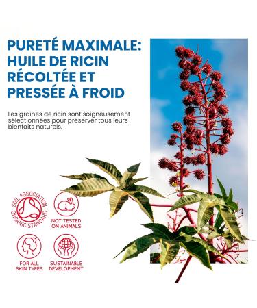 100% Pure Cold-Pressed Casting Oil for Hair & Eyelash Growth - Strengthens Beard & Nails Reduces Skin Stains - 2000 ml - Buy Online on GoSupps.com