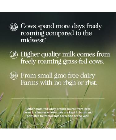 NAKED Chocolate Mass Gainer - All Natural Weight Gainer Protein Powder - 12LB Bulk GMO Free Gluten Free & Soy Free. No Artificial Ingredients - 1 360 Calories Chocolate 12 Pound (Pack of 1) - Buy Online on GoSupps.com