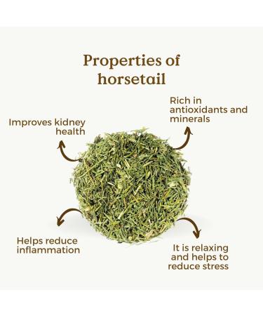 Horsetail Tea Organic 100g (50 Cups) | Horsetail Organic Herbal Leaf Tea | Equisetum Arvense REPLANTEA - Buy Online on GoSupps.com