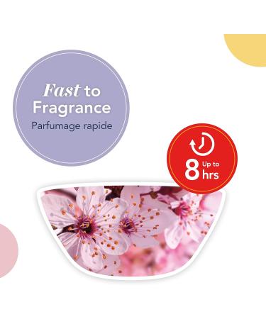 Dr. Beckmann Carpet Stain Remover | Removes New and Dried-in Stains | Includes Applicator Brush 650 ml & Yankee Candle Wax Melts | Cherry Blossom | Up to 8 Hours of Fragrance | 1 Count - Buy Online on GoSupps.com