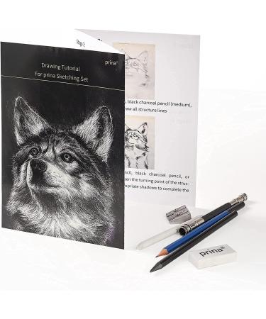 Prina 50 Pack Drawing Set Sketch Kit with 3-Color Sketchbook and Pencils - Pro Art Supplies for Artists, Adults, Teens, Beginners - Ideal for Shading and Blending - Buy Online on GoSupps.com