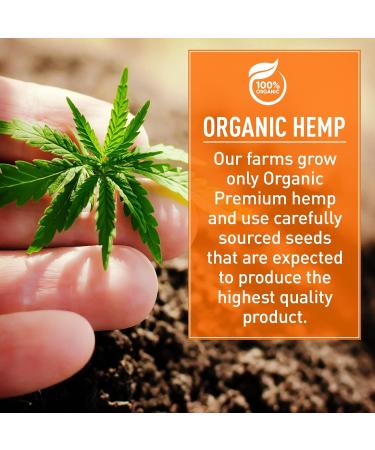 Zebra Hemp Topical Joint & Muscle Discomfort Relief Gel - 500mg | Soothing Salve for Sore Muscles - Buy Online on GoSupps.com