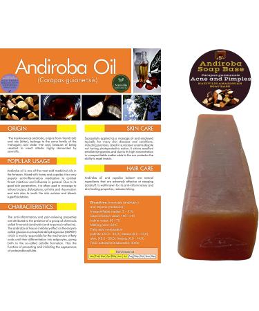 Nativilis Amazonian Soap Base 3KG - ANDIROBA 1KG - BACURI 1KG - BRAZIL NUT 1KG - Natural Vegan Face Skin Body Moisturises No Chemicals Additives Colours or Lauryl - Melt and Pour Copaiba Benefits - Buy Online on GoSupps.com