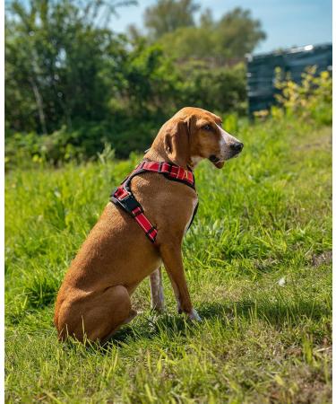Adjustable Lionto Dog Harness - Padded Anti-Pull Reflective Safety Size S Red | International Shipping - Buy Online on GoSupps.com