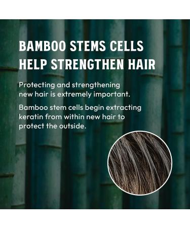 MARO17 Black+ Shampoo - Promote Hair Growth & Prevent Greying | 11.6 oz (350 ml) - Shop Internationally - Buy Online on GoSupps.com