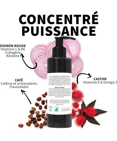 Onion Caffeine and Castor Oil Shampoo for Oily Hair: Anti-Dandruff Hair and Beard Volume Anti Hair Loss Moisturizing Hair Growth. SULFATE FREE - 2 x 200 ml - Buy Online on GoSupps.com