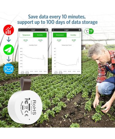 Ankilo Wireless Thermometer Hygrometer - Accurate Temperature & Humidity Sensor with Data Export for Home Garage Greenhouse & Baby Room (2 Pack) - Buy Online on GoSupps.com